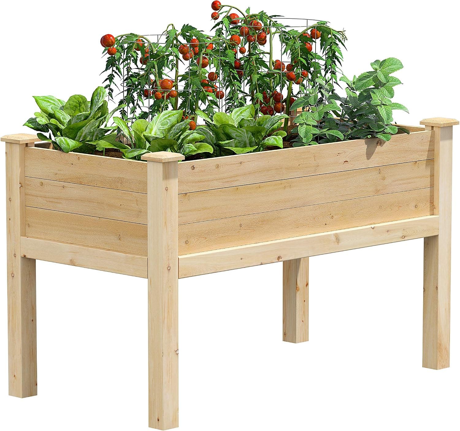 Greenes Fence Premium Cedar Elevated Garden Bed, 24 in W x 48 in L x 31 in H, Made in USA with North American Cedar